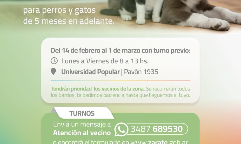 Castraciones Gratuitas Para Perros Y Gatos INFOZC NOTICIAS